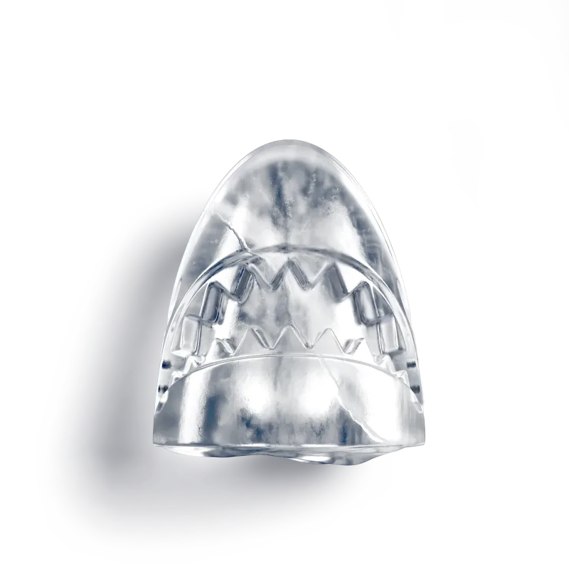 Shark Ice Mold